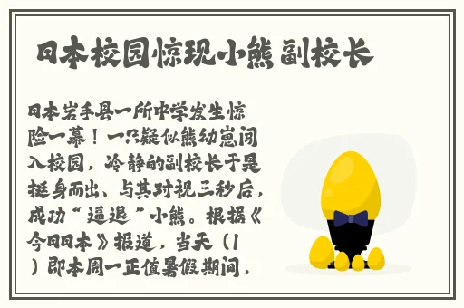寻小小猫爪影像作品大全优势